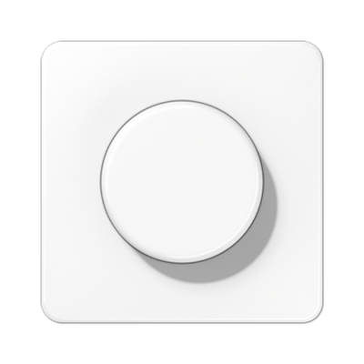 Centrālplate regulātoram "Balts" CD