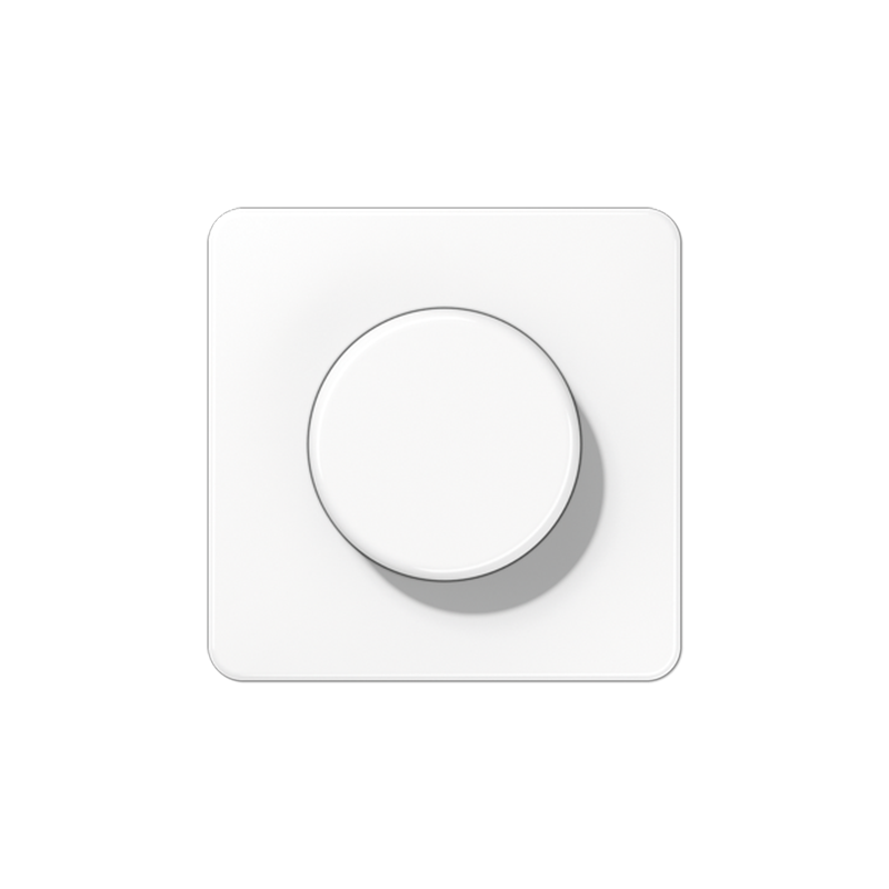 Centrālplate regulātoram "Balts" CD