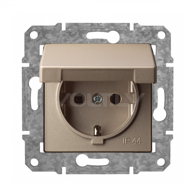 Rozete a/z ar vāku "Šampanietis" Epsilon