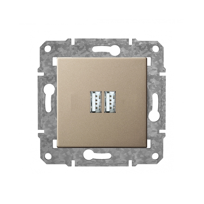 Rozete USB+USB "Šampanietis" Epsilon