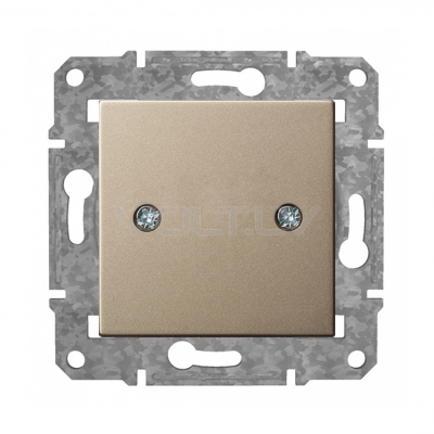 Заглушка "Шампанский" Epsilon