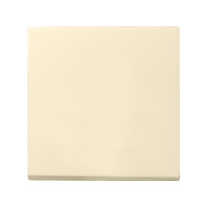 Gira System 55 (System 55), Gira E2, Gira E3, Gira Event (System 55), Gira Event Clear (System 55), Gira Event Opaque , Gira Esp