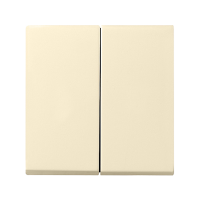 Gira System 55 (System 55), Gira E2 , Gira E3, Gira Event (System 55), Gira Event Clear (System 55), Gira Event Opaque, Gira Esp