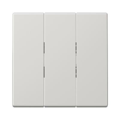 Taustiņš 1+1+1 "Gaiši pelēks" LS 990