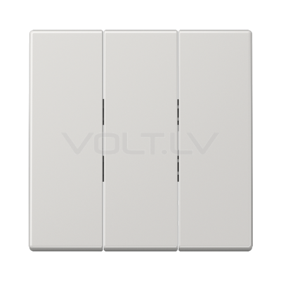 Taustiņš 1+1+1 "Gaiši pelēks" LS 990