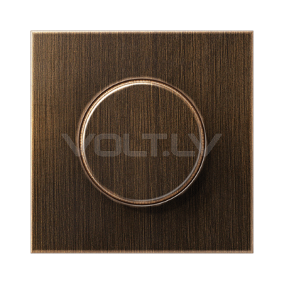 Centrālplate regulātoram "Misiņš" LS Antik