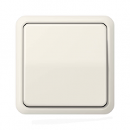 CD Слоновая кость