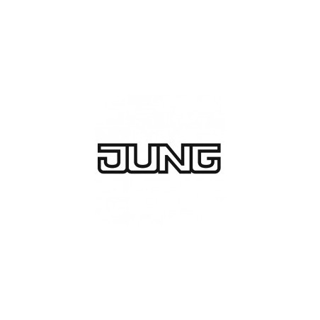 JUNG